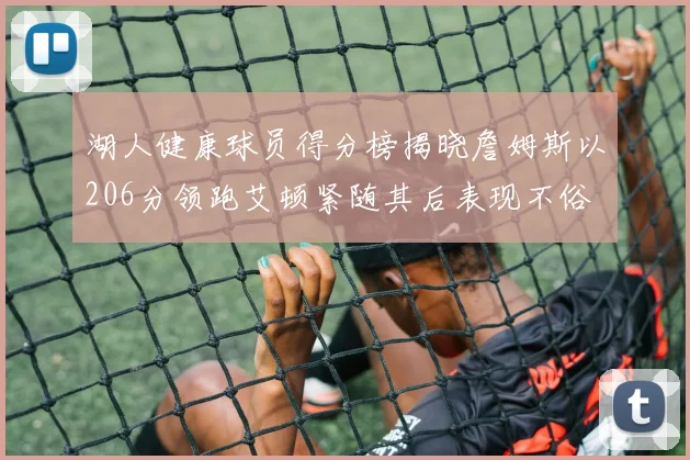 湖人健康球员得分榜揭晓詹姆斯以206分领跑艾顿紧随其后表现不俗